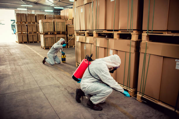 Best Pest Inspection Near Me  in Lombard, IL