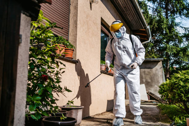Best Termite Control Services  in Lombard, IL