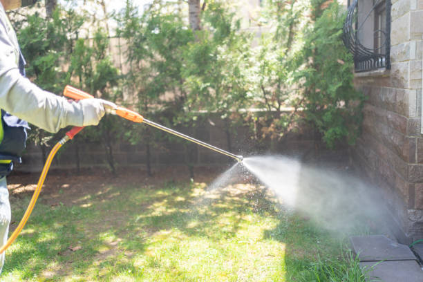 Best Affordable Pest Control Services  in Lombard, IL