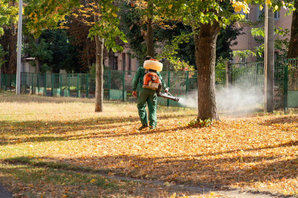 Best Pest Control Near Me  in Lombard, IL