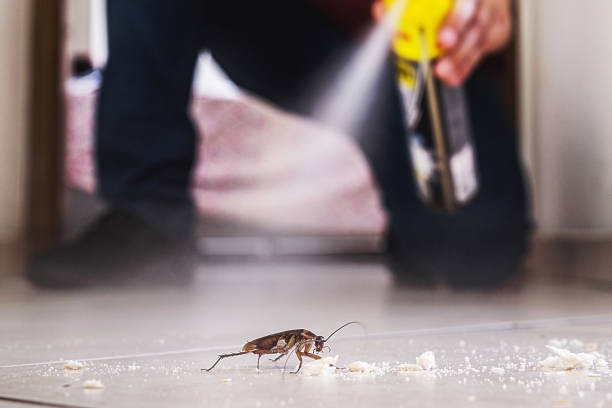 Best Residential Pest Control  in Lombard, IL