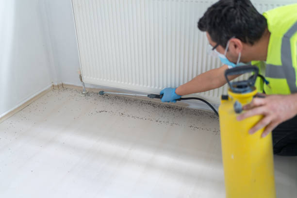 Best Ant Control Services  in Lombard, IL