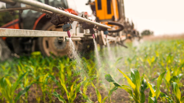 Best Mosquito Control Services  in Lombard, IL